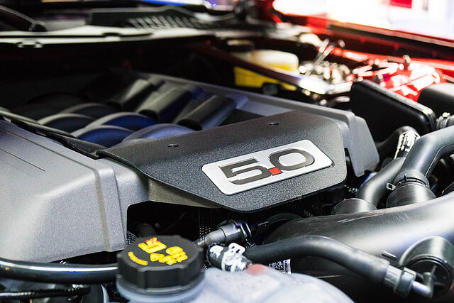 error_file_does_not_exist