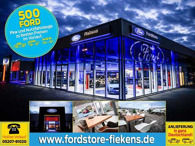 Ford Transit 350 TDCi L4H3 DOKA HA Trend